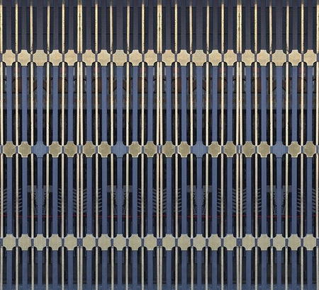 Fototapeta Wall & Deco - Ornate WDOR1801
