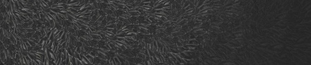 Fototapeta Wall & Deco - The Dark Side WDDS1701