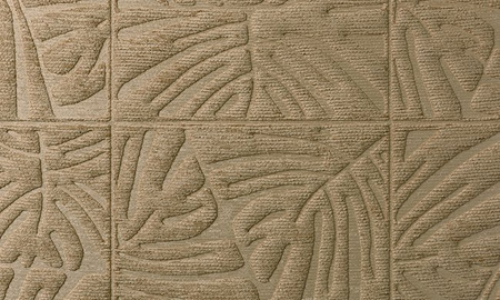 Tapeta Arte Yala - Monstera 43020