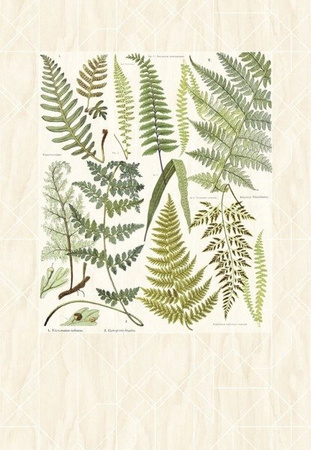 Panel Eijffinger - Geonature 366102
