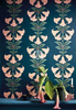 Tapeta Cole&Son Seville - Angel's Trumpet 117/3008 