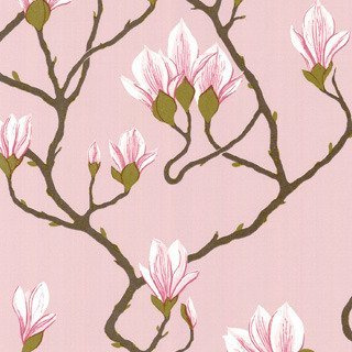 Tapeta Cole&Son The Contemporary Collection - Magnolia 72/3009
