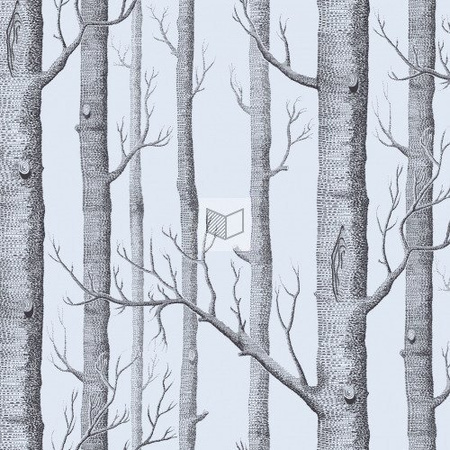 Tapeta Cole&Son New Contemporary Two - Woods 69/12150