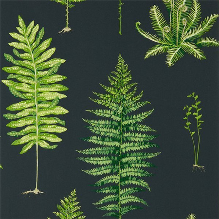 Tapeta Sanderson Glasshouse - Fernery 216634