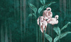 Fototapeta Wonderwall - Nakuru 35 0430 03