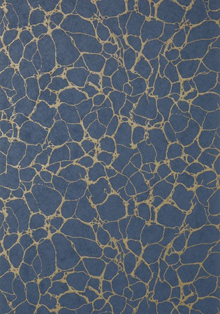 Tapeta Thibaut Surface Resource - T4019