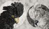 Fototapeta Dekorami - Yin – Yang