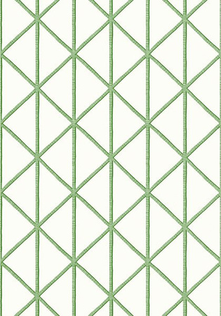 Tapeta Thibaut Tropics - T10138