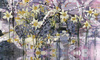 Fototapeta Wonderwall - Capri 35 0798 07