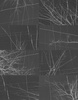Fototapeta Wall & Deco - Bois D'Hiver WDBH1703