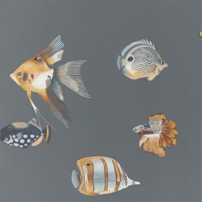 Tapeta Harlequin Anthozoa - Kamanu 111648