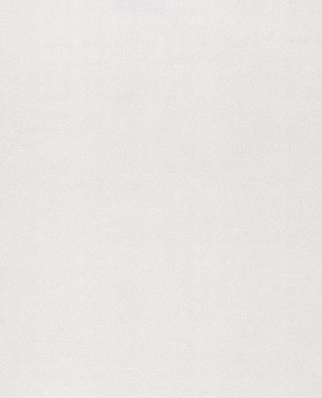 Tapeta Eijffinger - Black & Light 356186