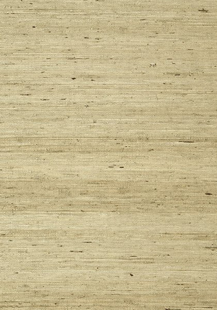 Tapeta Thibaut Greenwood - T85006