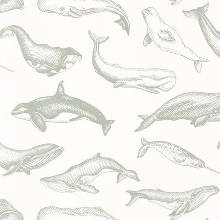 Tapeta Caselio Sea You Soon - Whale Done 102797010