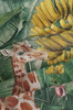 Fototapeta Wonderwall - Safari 35 0838 08