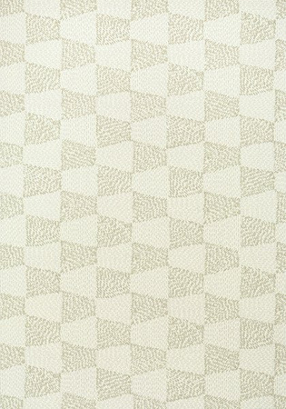 Tapeta Thibaut Modern Resource - T428