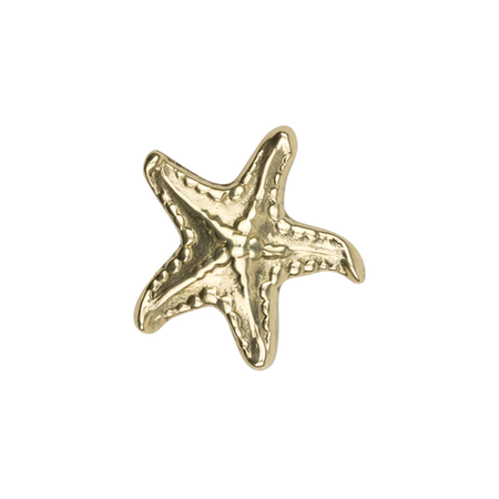 Uchwyt Pap Deco Seastar 2
