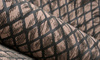 Tapeta Arte Moooi Extinct Animals - Aristo Quagga MO2033