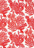 Tapeta Thibaut Tropics - T10120