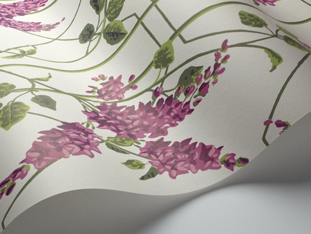 Tapeta Cole&Son Botanical Botanica - Wisteria 115/5013