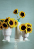 Tapeta Thibaut Texture Resource 6 - T285