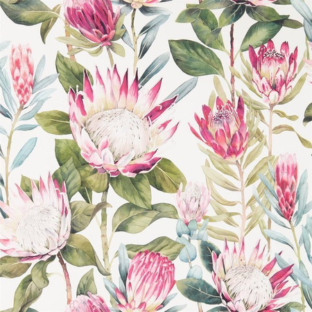 Tapeta Sanderson Glasshouse - King Protea 216646