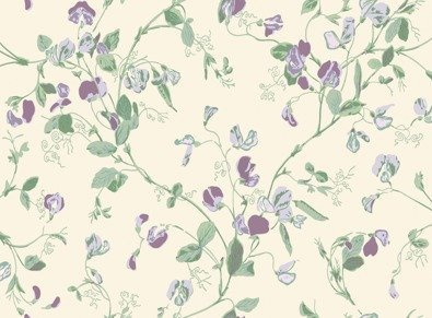 Tapeta Cole&Son Botanical Botanica - Sweet Pea 100/6030