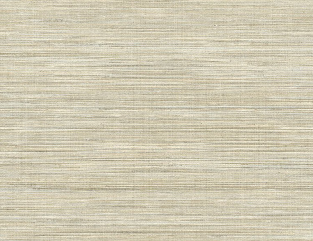 Tapeta Wallquest Palm Springs - PS41507