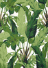 Tapeta Thibaut Tropics - T10127