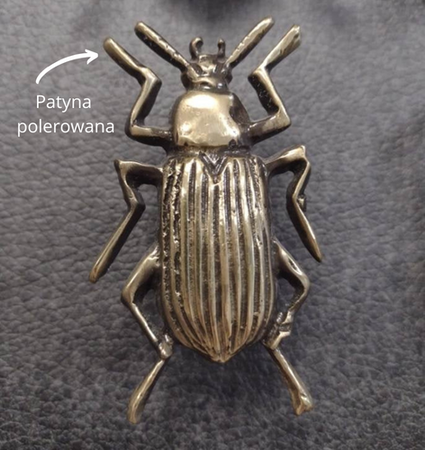 Uchwyt Pap Deco Ring XL mosiądz naturalny