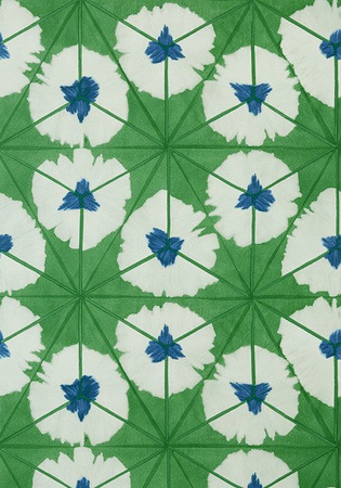 Tapeta Thibaut Summer House - T13088