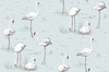 Tapeta Cole&Son The Contemporary Collection - Flamingos 95/8047