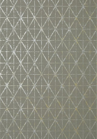 Tapeta Thibaut Modern Resource - T448