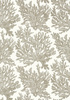 Tapeta Thibaut Tropics - T10140