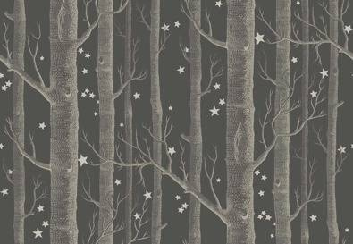 Tapeta Cole&Son Whimsical - Woods&Stars 103/11053