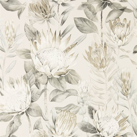 Tapeta Sanderson Glasshouse - King Protea 216647
