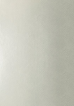Tapeta Thibaut Greenwood - Yuma T85067