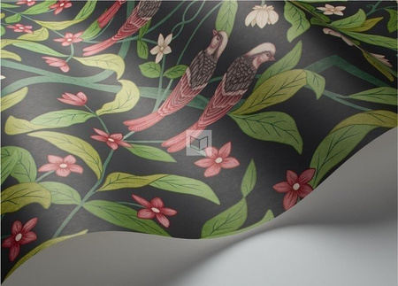 Tapeta Cole&Son Seville - Jasmine&Serin Symphony 117/10028