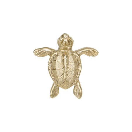 Uchwyt Pap Deco Turtle