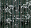 Fototapeta Wall & Deco - Bolshoi WDBO1702