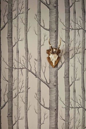 Tapeta Cole&Son Icons - Woods 112/3011