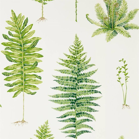 Tapeta Sanderson Glasshouse - Fernery 216633