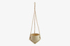 Donica Bolia Grove Flowerpot Ø17, H60 cm