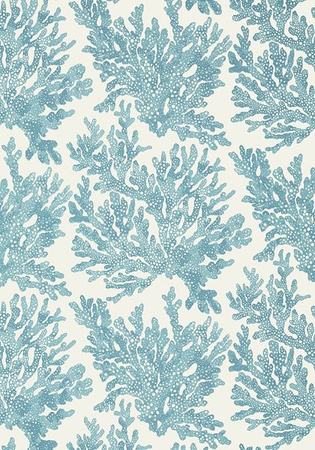 Tapeta Thibaut Tropics - T10122