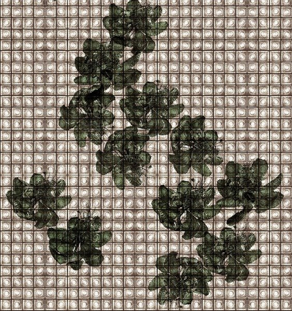 Fototapeta Wall & Deco - Akos WDAK1801