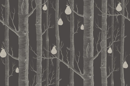 Tapeta Cole&Son The Contemporary Collection - Woods&Pears 95/5031