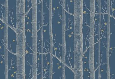 Tapeta Cole&Son Whimsical - Woods&Stars 103/11052