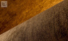 Tapeta Arte Lush - Tinneroy 29507