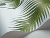 Tapeta Cole&Son The Contemporary Collection - Palm Leaves 66/2010 
