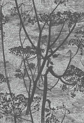 Tapeta Cole&Son Icons - Cow Parsley 112/8026